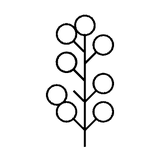 Illustration Bruyère