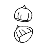 Illustration Châtaignier