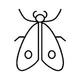Illustration Miellat